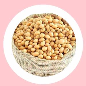 Soyabean seed